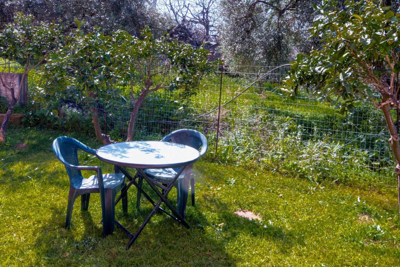 Bona'S Guest House Αγιά Εξωτερικό φωτογραφία